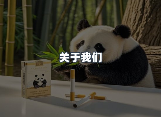 关于我们